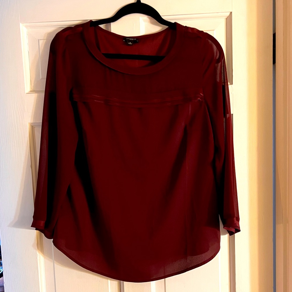 Ann Taylor blouse with sheer top and sleeves